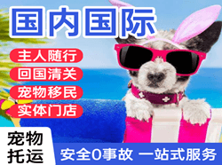 临汾航空快运国际宠物托运 【国